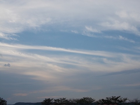 DSCN2706.jpg