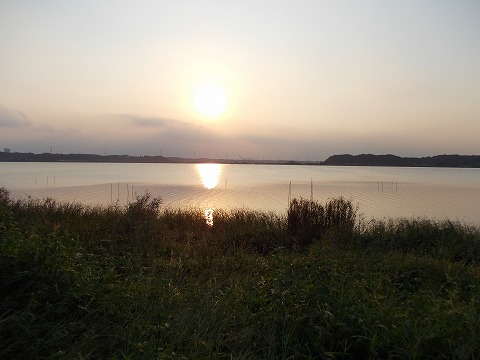 DSCN2720.jpg
