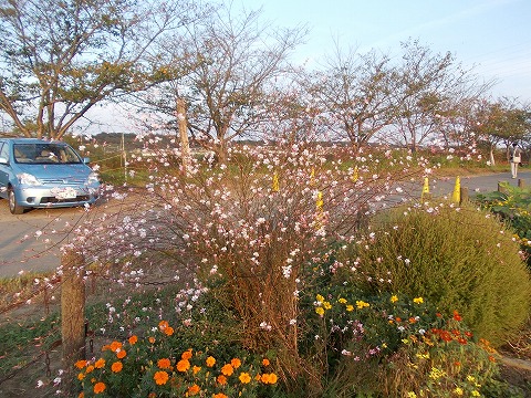 DSCN2724.jpg