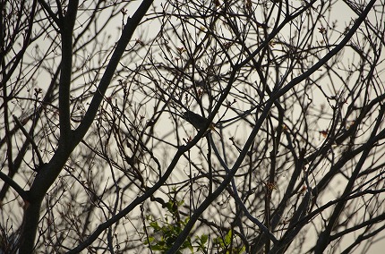 DSC_3299.jpg