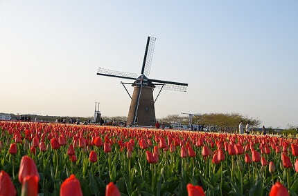 DSC_3302.jpg