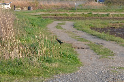 DSC_3307.jpg