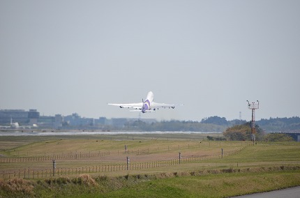 DSC_3313.jpg