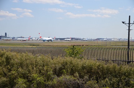 DSC_3317.jpg