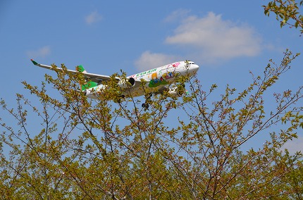 DSC_3347.jpg