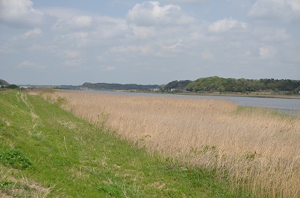 DSC_3377.jpg