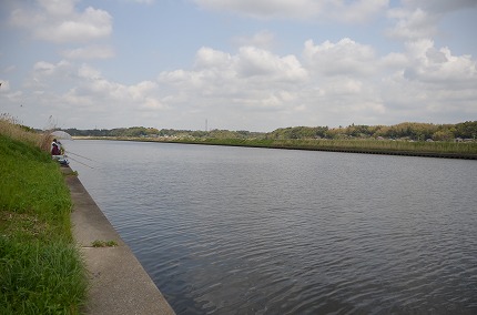 DSC_3381.jpg