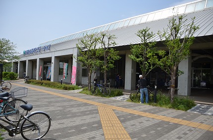 DSC_3384.jpg