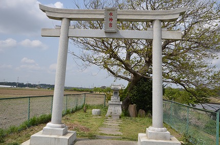 DSC_3386.jpg