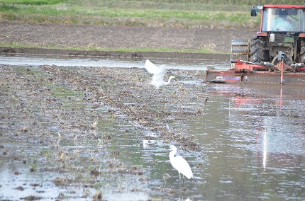 DSC_3408.jpg