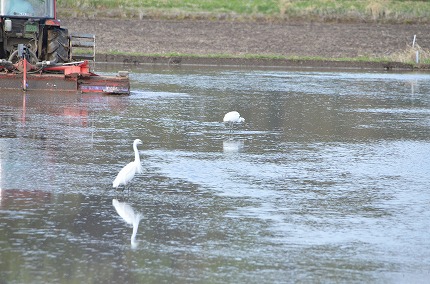DSC_3409.jpg