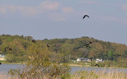 DSC_3415.jpg
