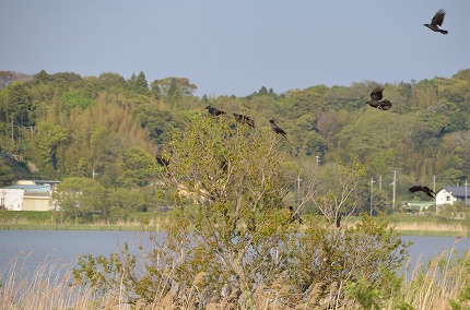 DSC_3417.jpg