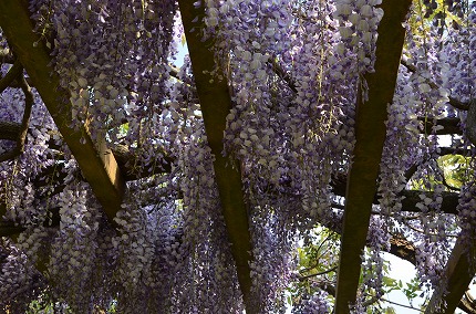 DSC_3464.jpg
