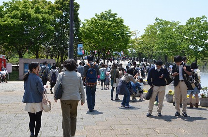 DSC_3506.jpg