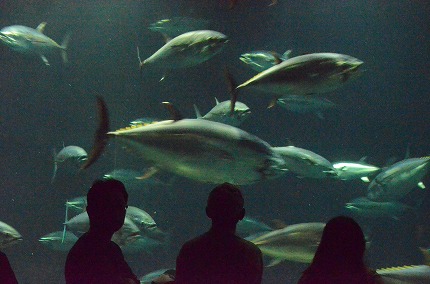 DSC_3539.jpg