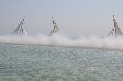DSC_3555.jpg