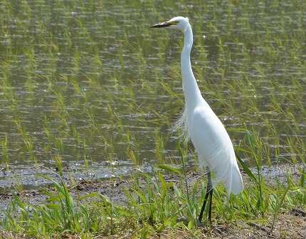 DSC_3582-1.jpg