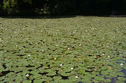 DSC_3645.jpg