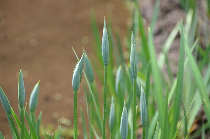 DSC_3659.jpg