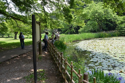 DSC_3666.jpg