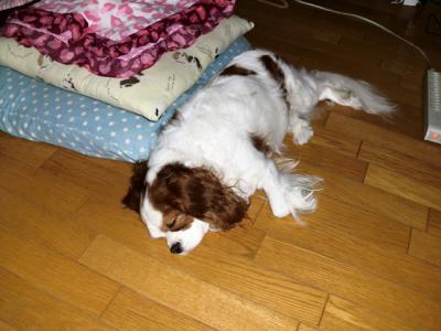 なんか、しんどいのぉ