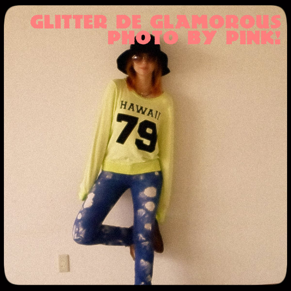 【WILD FOX】HAWAII 1979 - BAGGY BEACH JUMPERの着画