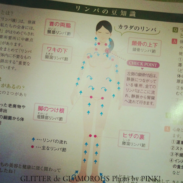 リンパの流れ