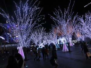 DSC02940.jpg