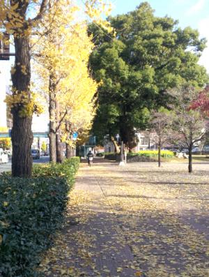 121127_ushi.jpg