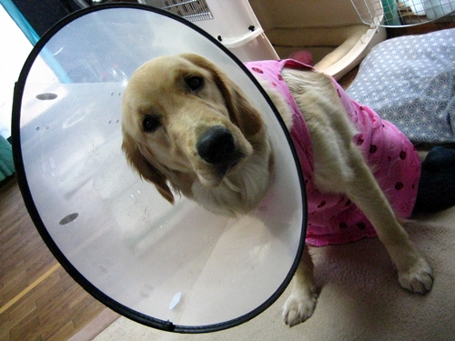 2013-0319-002.jpg