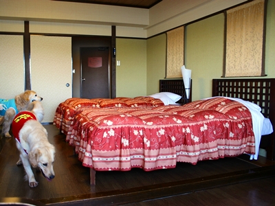 toba036.jpg