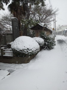 ayuki_1_201402082000325a4.jpg