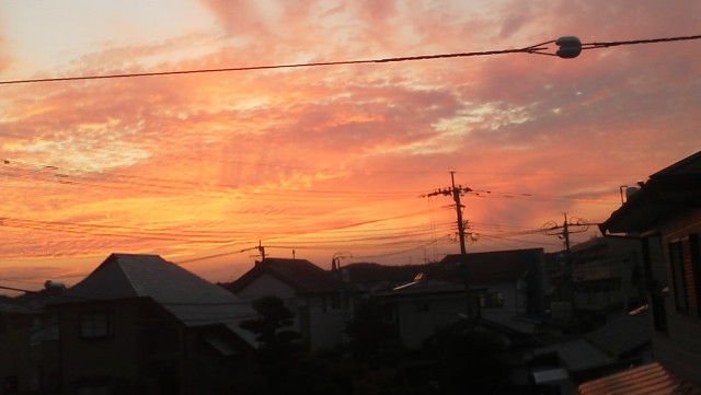 夕陽