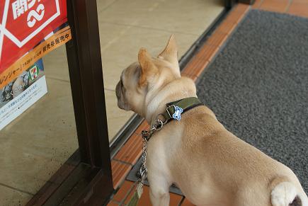 そういえば、「店の前に犬をつながず、一緒に入店してください」っていう張り紙をしてるセブンを見かけたことあったなー（驚）