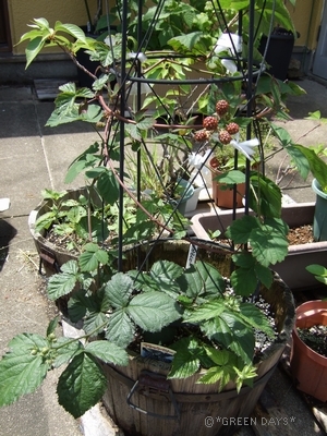 20120622-b