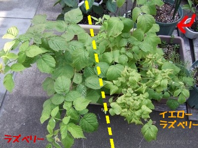 20120709-1