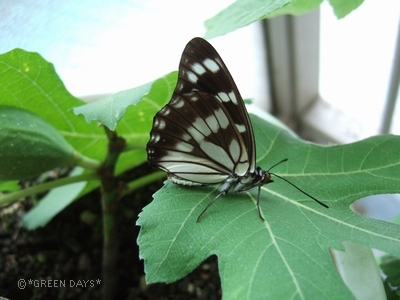 20120715-h1