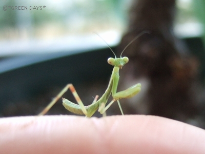 20120715-h2