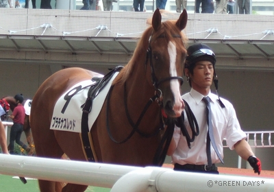 20120923-プラスレ