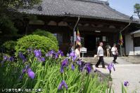 pic20120513_04