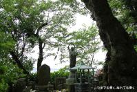 pic20120701_04