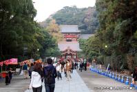 pic20120701_30