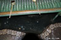 pic20120701_33