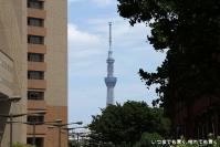 pic20120717_10
