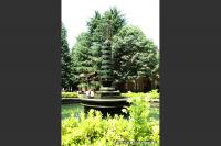 pic20120724_05