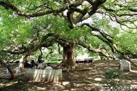 pic20120724_08