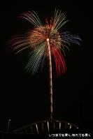 pic20120729_53