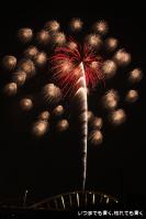 pic20120729_54
