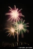 pic20120729_58